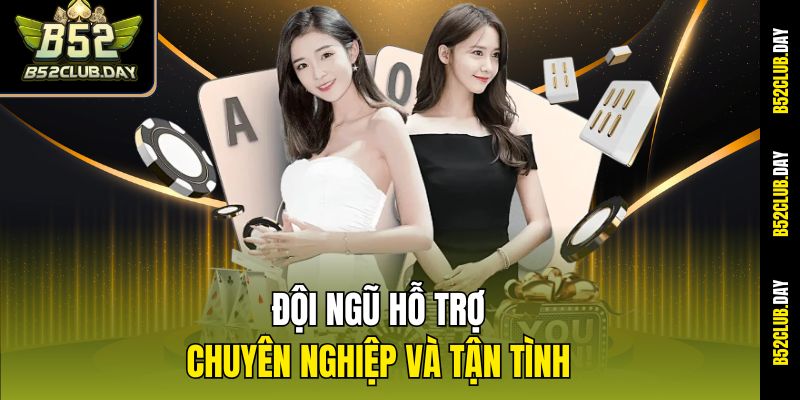 doi-ngu-ho-tro-chuyen-nghiep-va-tan-tinh